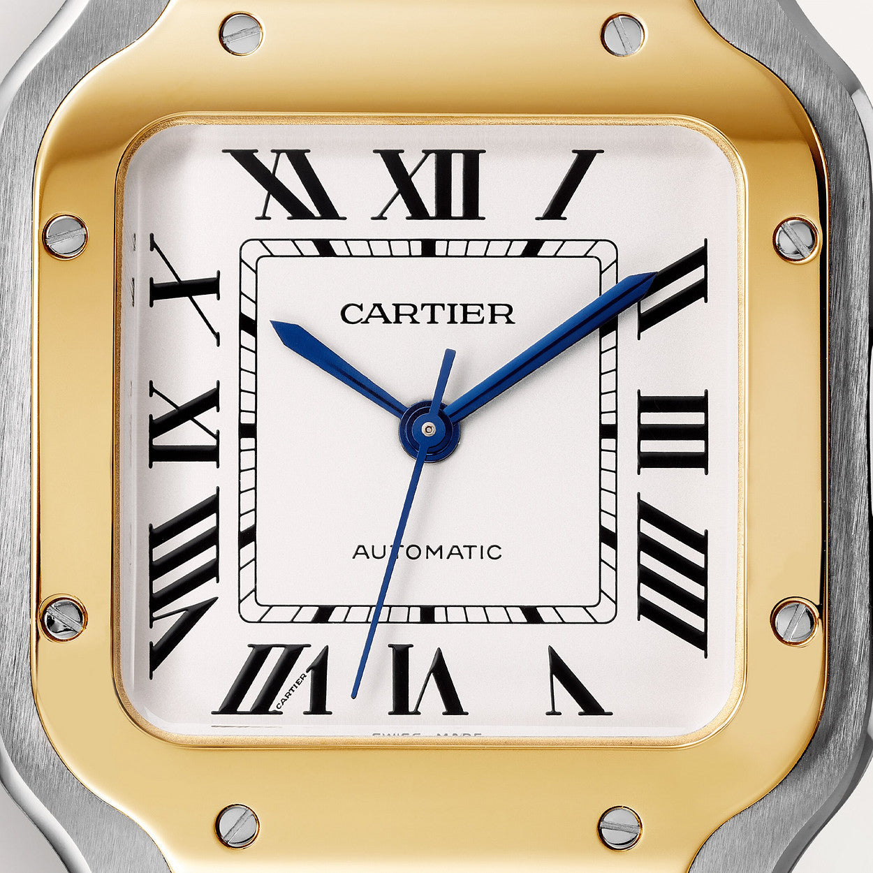 SANTOS-JAUNE/GRIS 36mm