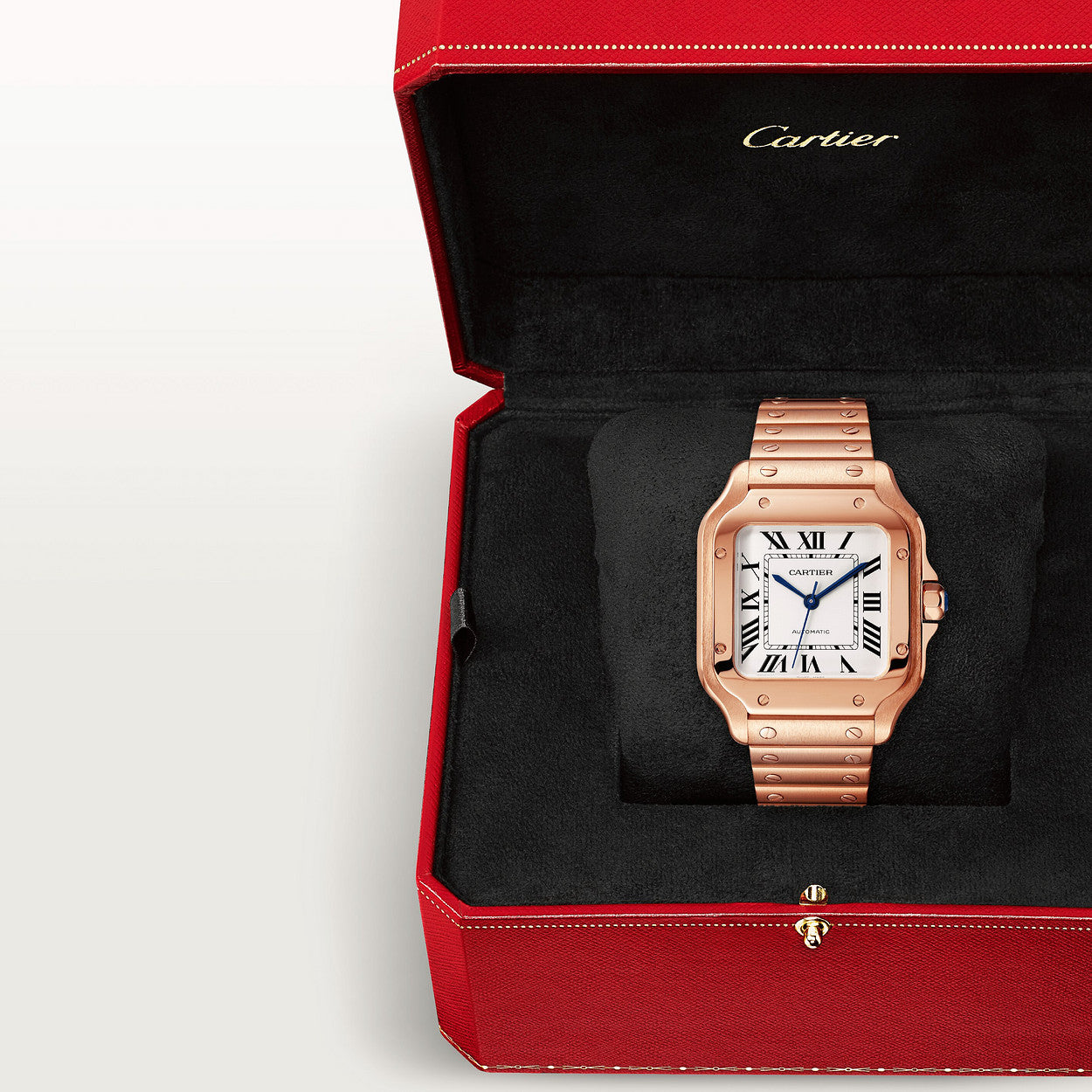 SANTOS-ROSE 36mm