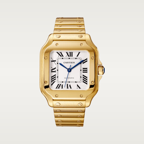 SANTOS-JAUNE 36mm