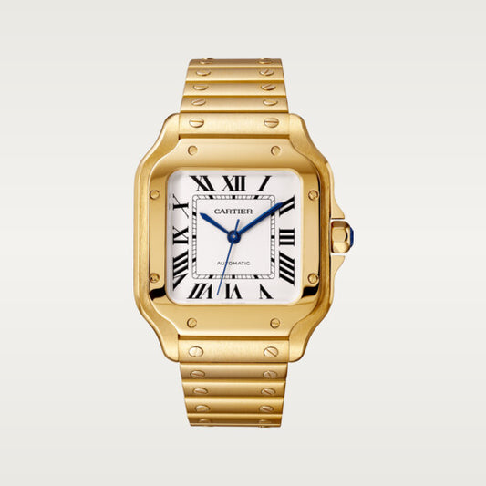 SANTOS-JAUNE 36mm